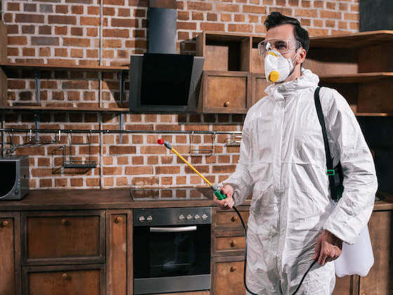 Man performing a home inspection for pests | Featured image for the Home page of ASBIR.